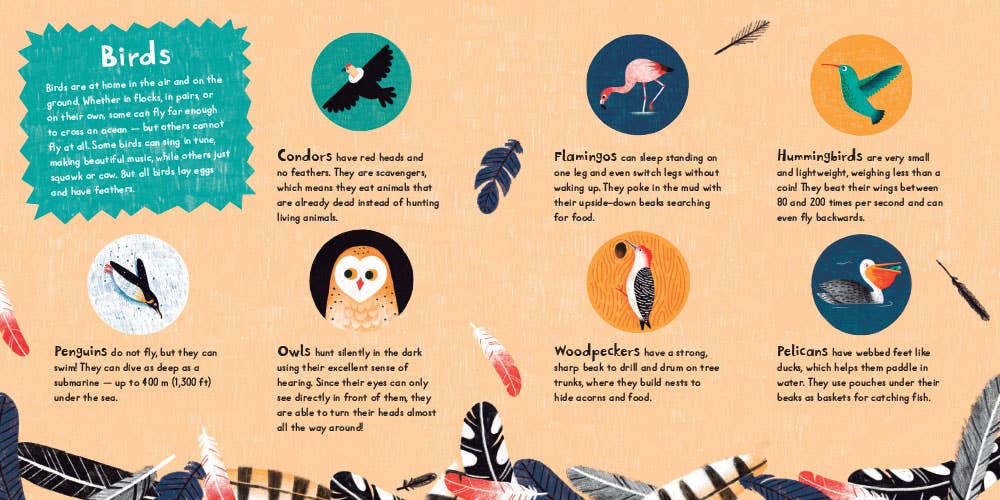 Tweet!: Board Book - 9781646860920 - Tuma's Books