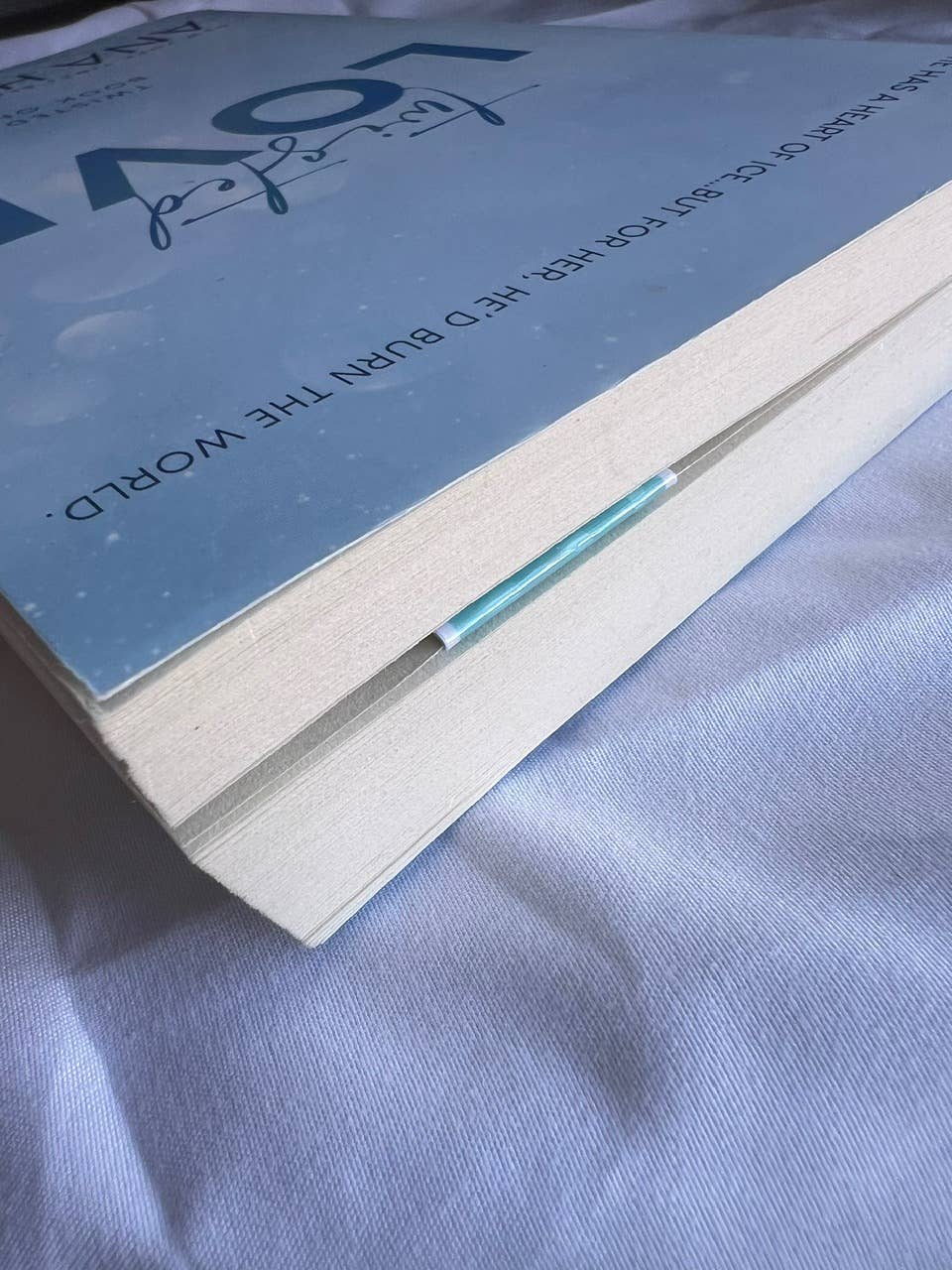 Winter Winston the Owl Squishmallow Magnetic Bookmark - Tuma's Books