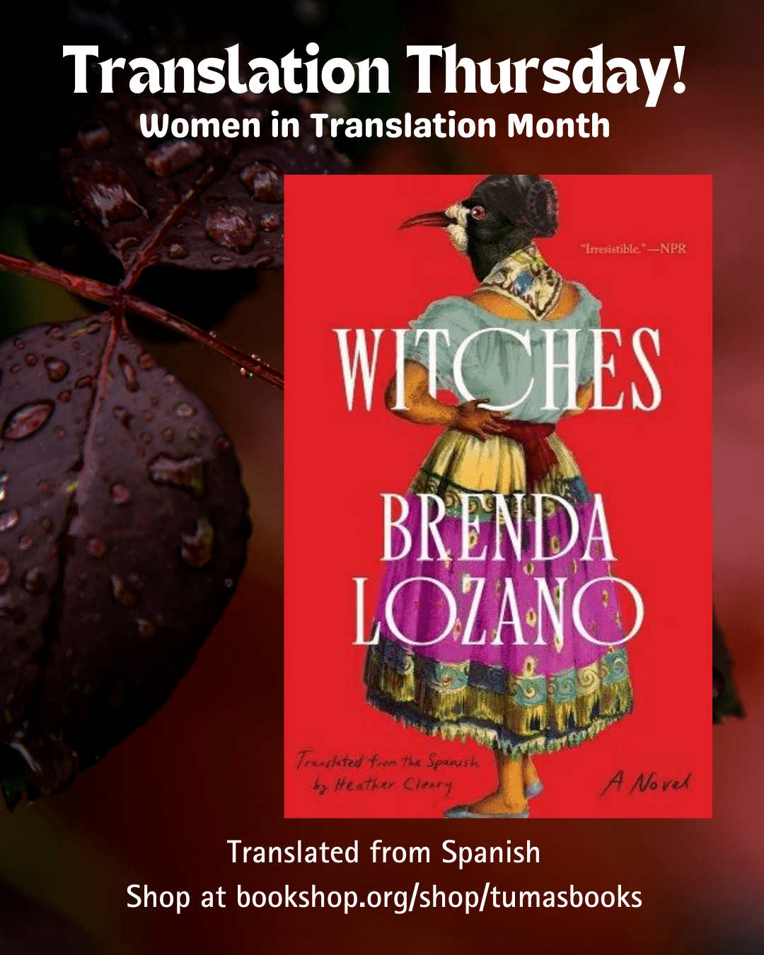Women in Translation Month: Witches by Brenda Lozano, Translated from Spanish by Heather Cleary - Tuma's Books