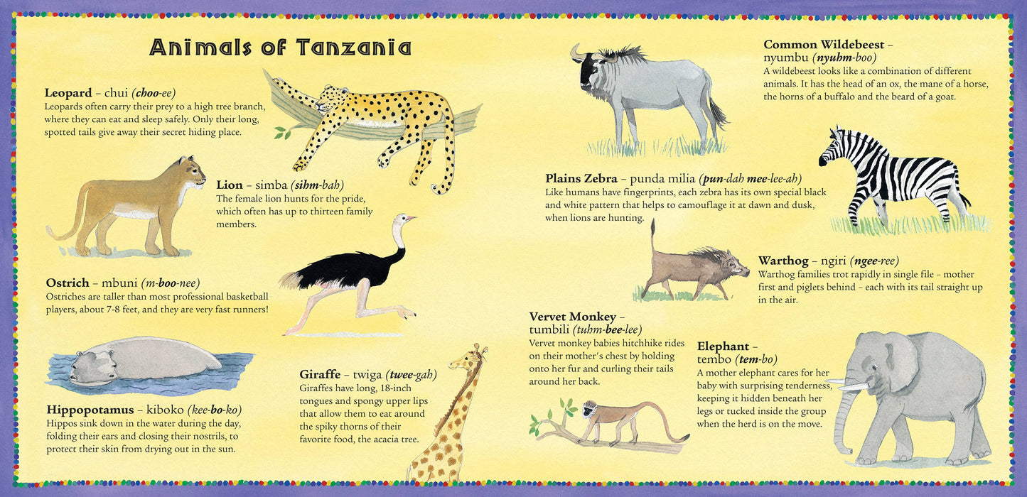 We All Went on Safari: Paperback